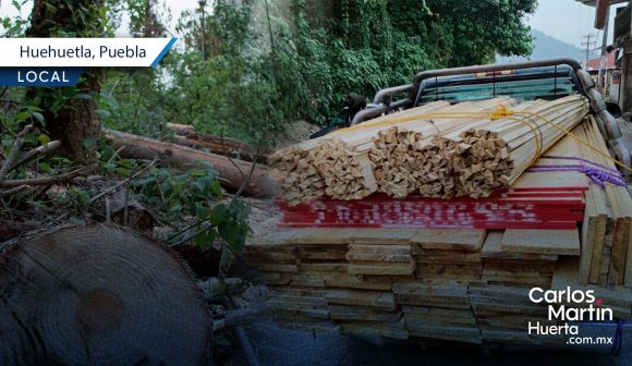 Talamonte - detenido Atrapa Policía Estatal a talamontes con 500 trozos de pino