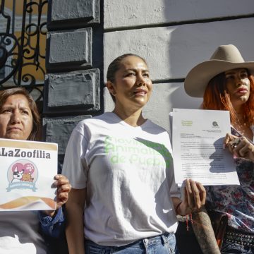 Publican reformas a Ley de Bienestar Animal; castiga la zoofilia en Puebla