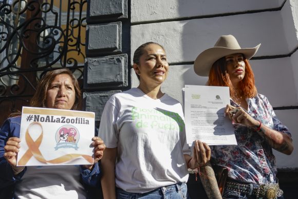 Publican reformas a Ley de Bienestar Animal; castiga la zoofilia en Puebla