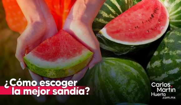 La sandía: refrescante delicia en primavera