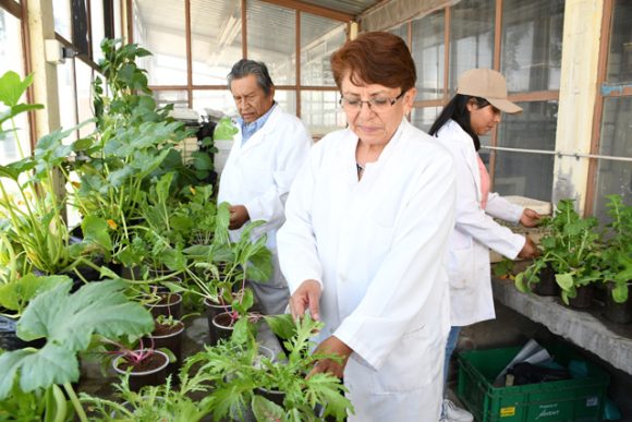 CICA, ejemplo de vinculación social entre la ciencia y los grupos más vulnerables