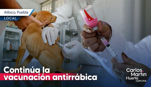 Continúa la vacunación antirrábica en Atlixco