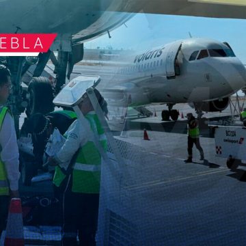 (VIDEO) Decomisan droga en vuelo Puebla-Cancún;  hay dos detenidos