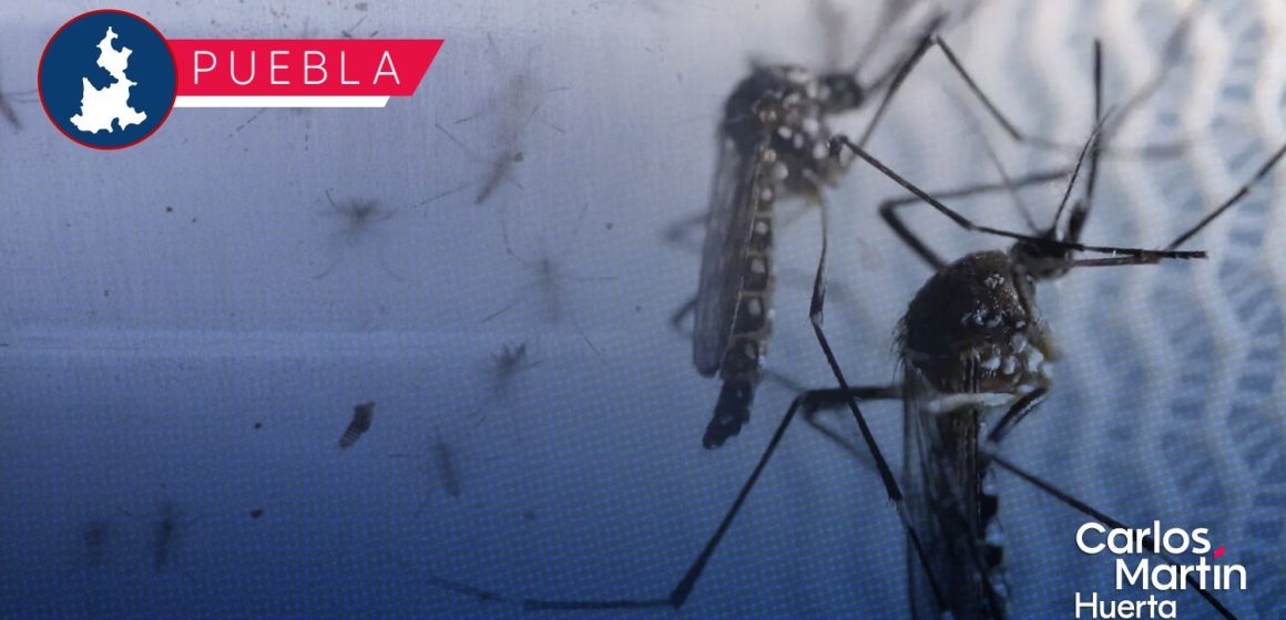 Puebla suma 444 casos de dengue en lo que va del año