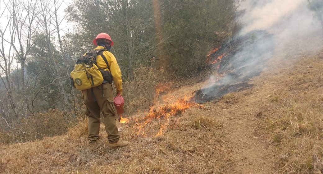 Controlan incendio forestal de Tetela de Ocampo