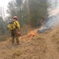 Controlan incendio forestal de Tetela de Ocampo