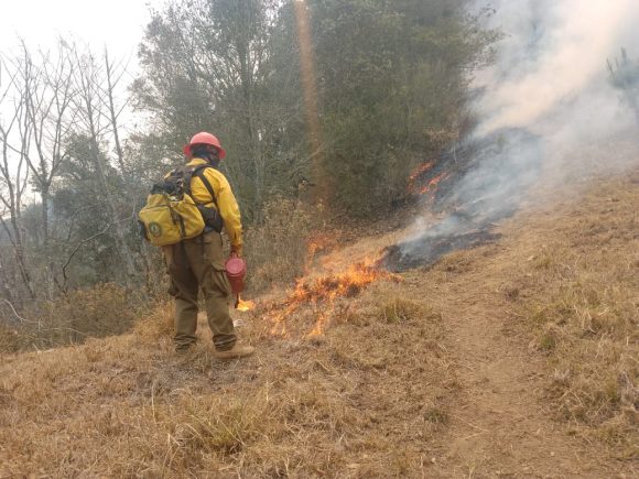 Controlan incendio forestal de Tetela de Ocampo