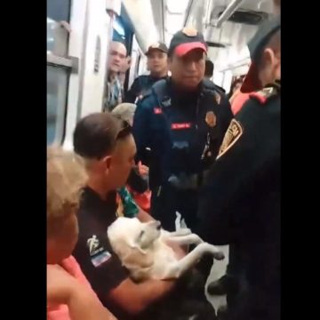 (VIDEO) Policías sacan del Metro a hombre con perrito herido