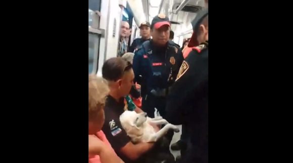 (VIDEO) Policías sacan del Metro a hombre con perrito herido