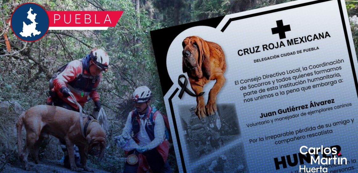 Muere “Hunter”, perro rescatista de la Cruz Roja en Puebla tras 11 años de servicio
