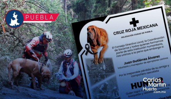 Muere “Hunter”, perro rescatista de la Cruz Roja en Puebla tras 11 años de servicio