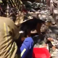 Rescatan a ocho perros tras explosión en Tlalpan