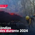 Van 274 incendios forestales durante el 2024 en Puebla; 9 mil 435 hectáreas afectadas
