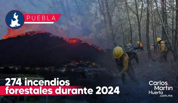 Van 274 incendios forestales durante el 2024 en Puebla; 9 mil 435 hectáreas afectadas