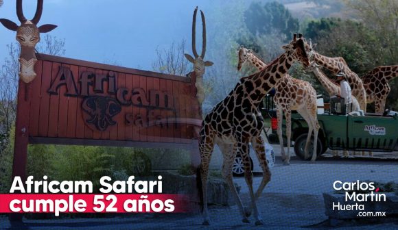 Africam Safari cumple 52 años