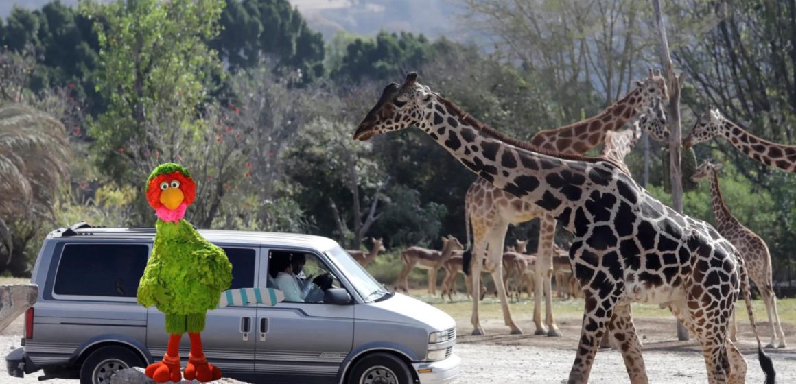 Abelardo de “Plaza Sésamo”  conocerá a  la jirafa Benito en vacaciones de verano