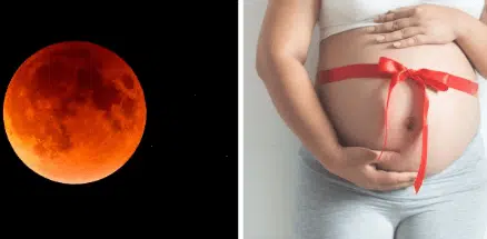 embarazadas eclipse .png