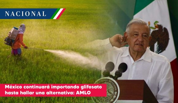 Se seguirá importando glifosato, hasta encontrar un sustituto: AMLO