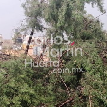 Ráfagas de viento, granizo y lluvia provocó encharcamientos, fallas en la energía eléctrica, caída de árboles