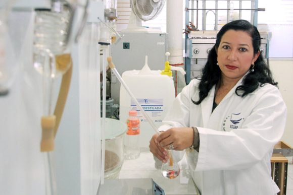 Participa BUAP en programa de la FAO para capacitar a agricultores como “Doctores del Suelo”