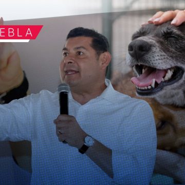 Armenta impulsará una agenda de trabajo para el Bienestar Animal