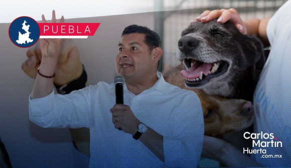 Armenta impulsará una agenda de trabajo para el Bienestar Animal