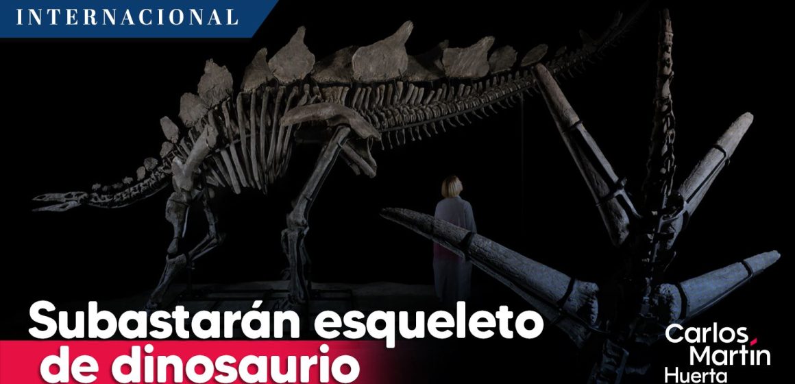 Subastarán esqueleto de dinosaurio en NY