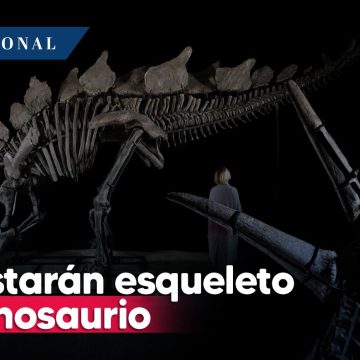 Subastarán esqueleto de dinosaurio en NY