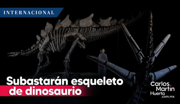 Subastarán esqueleto de dinosaurio en NY