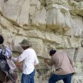 Laboratorio de Paleobiología de la BUAP: estudia el origen, la evolución y extinción de la flora y fauna de México