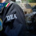 “Un refrito” informe de la DEA sobre cárteles mexicanos en EE.UU: AMLO