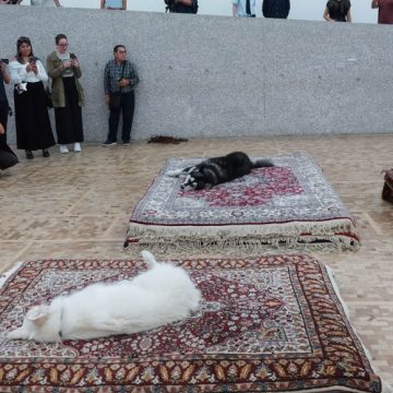 Exposición ‘Casts’ del Museo Tamayo causa polémica