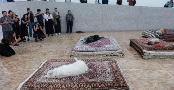 Exposición ‘Casts’ del Museo Tamayo causa polémica