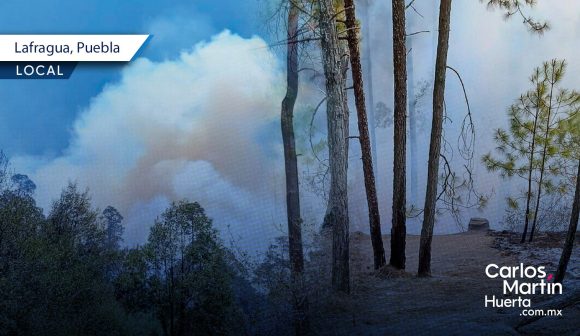 Incendio forestal en Lafragua liquidado al 80%