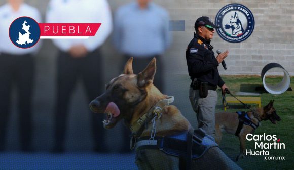 Crean unidad canina especializada en búsqueda y rescate de personas en Puebla