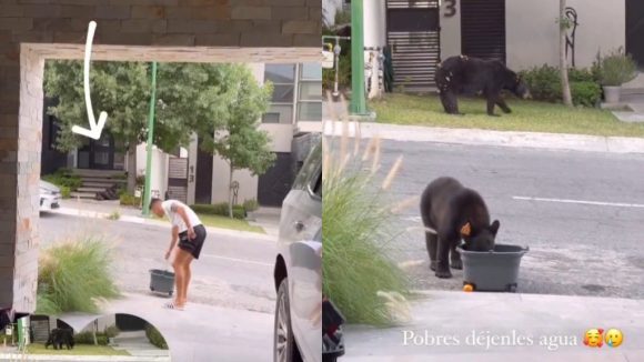 Maxi Meza, futbolista del Monterrey, ofrece agua a un par de osos