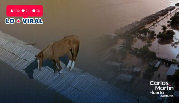 (VIDEO) Rescatan a caballo varado en techo de zona inundada de Brasil