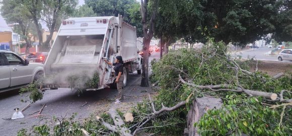 Fuertes vientos dejan árboles caídos en el municipio de Puebla