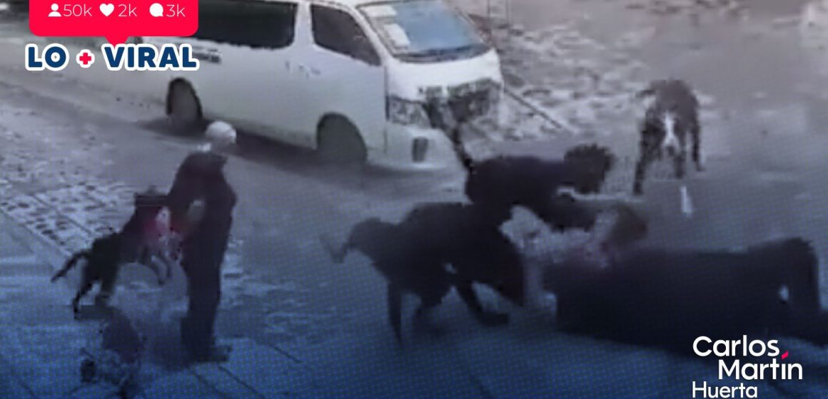 (VIDEO) Abuelita es atacada por perros en Querétaro