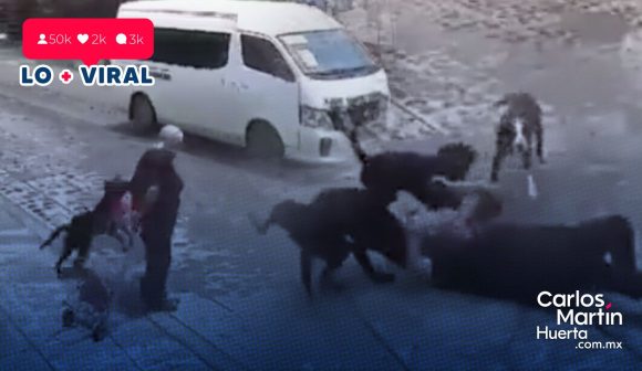 (VIDEO) Abuelita es atacada por perros en Querétaro