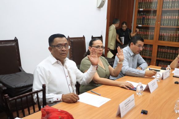 Avala Comisión del Congreso creación de nueva Ley de Bibliotecas del Estado de Puebla