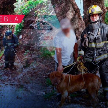 Bomberos rescatan a perro tras caer en barranca en San Jerónimo Caleras