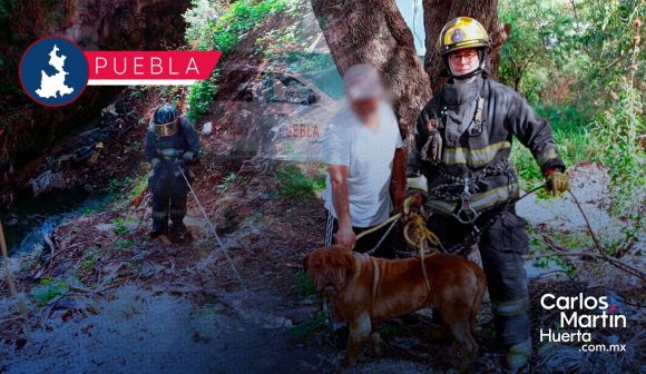 Bomberos rescatan a perro tras caer en barranca en San Jerónimo Caleras