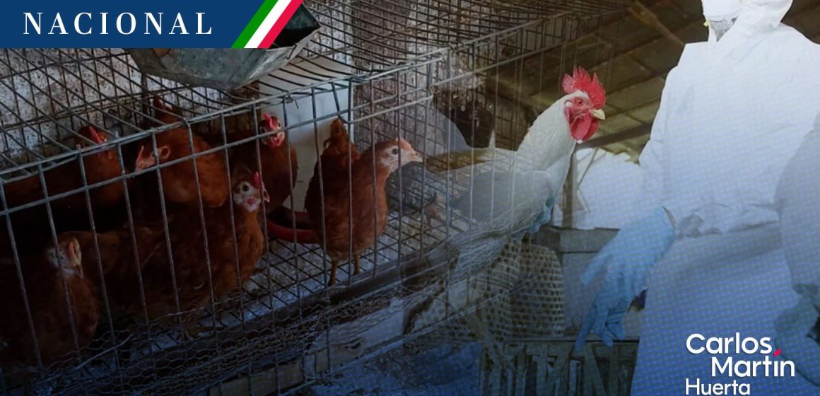 OMS confirma primera muerte humana por gripe aviar A(H5N2) en México