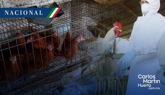 OMS confirma primera muerte humana por gripe aviar A(H5N2) en México