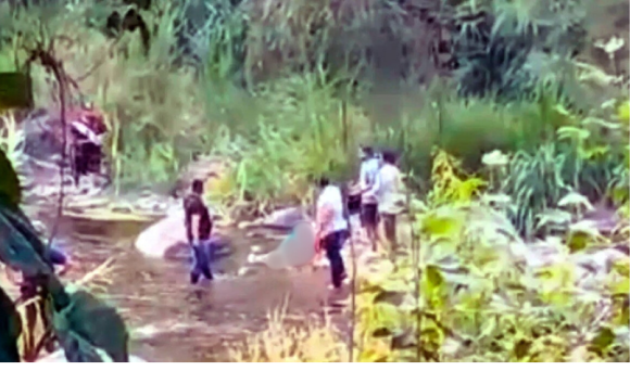 Exhiben participación del alcalde de Zapotitlán en ejecución; “si se demuestra asumirá las consecuencias: Céspedes Peregrina