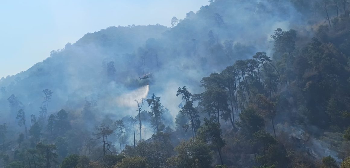 Controlado en un 90% incendio forestal en municipio de Juan Galindo