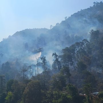 Controlado en un 90% incendio forestal en municipio de Juan Galindo