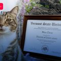 Gato recibe doctorado honorífico en la Universidad de Vermont