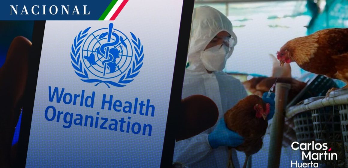 OMS y Salud aclaran que muerte de paciente en México no es atribuible a gripe aviar